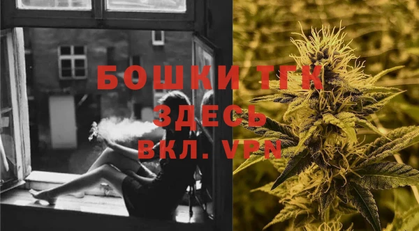амф Богданович