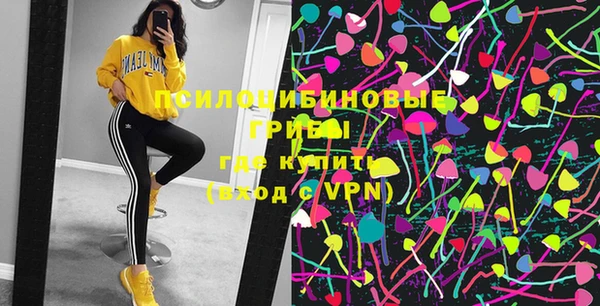 амф Богданович