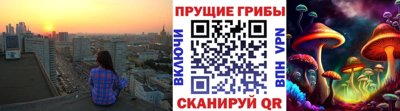 МЕГА маркетплейс  Данилов  Галлюциногенные грибы Psilocybine cubensis 